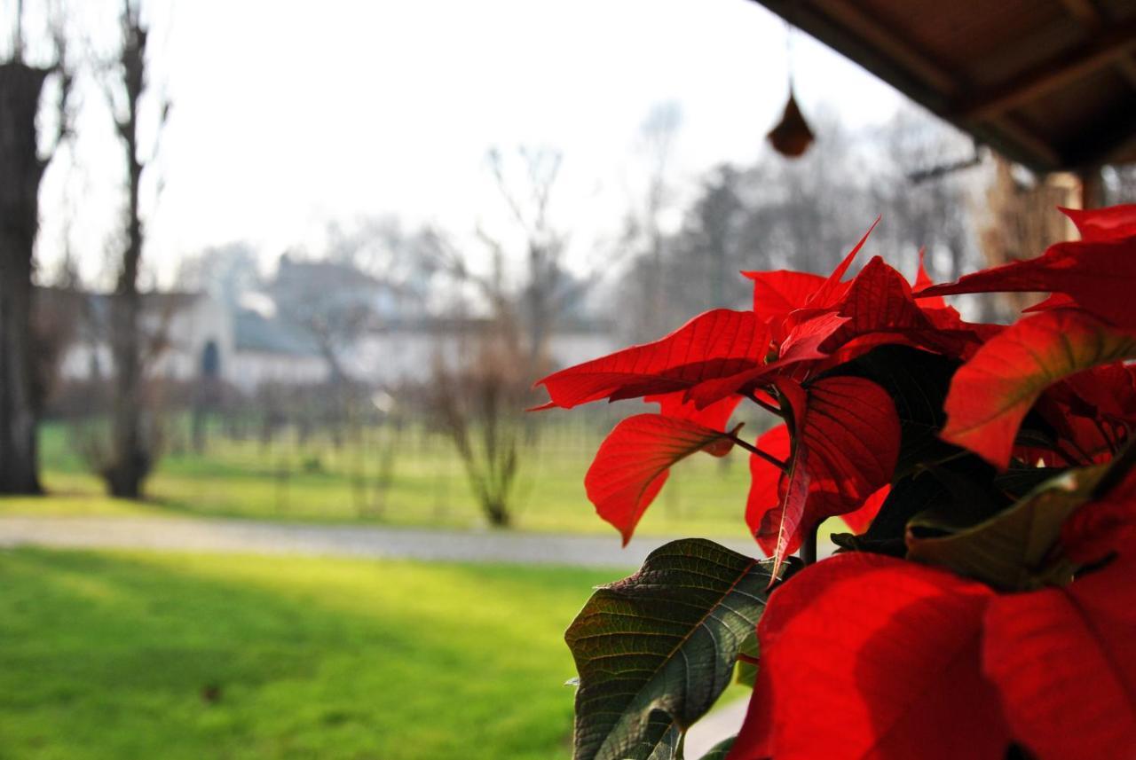 Villa Stefania Noventa Padovana Dış mekan fotoğraf